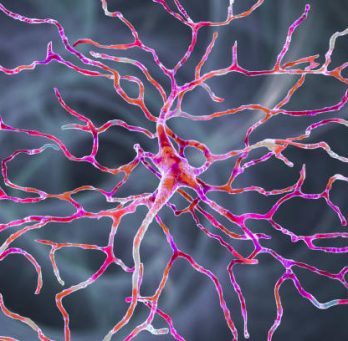 Retinal neuron, a neuron that plays crucial role in vision, it transforms the optical image in order to extract visual information, 3D illustration